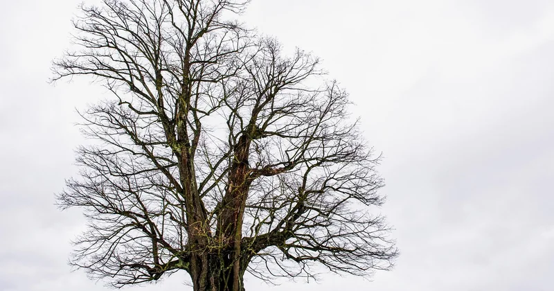 Branching strategies that actually survive a real team