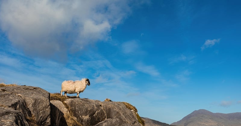Understanding RAM Speed and Latency for Everyday Users Explained