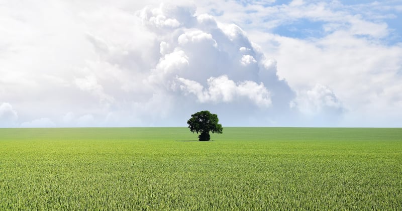 Cloud Backup vs Local Backup: Which Is Better for Home Users?