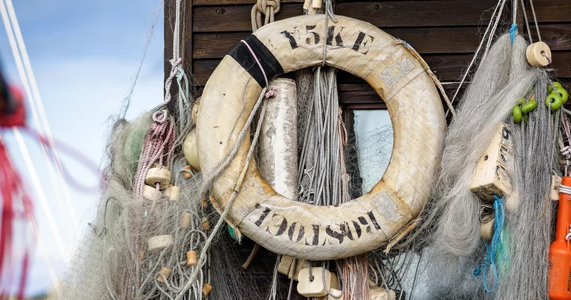 Recovery and safety: the commands that save your career